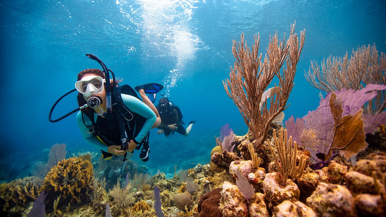 zanzibar-diving